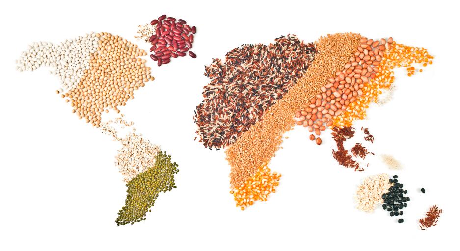 World_global_map_grains_food.jpg