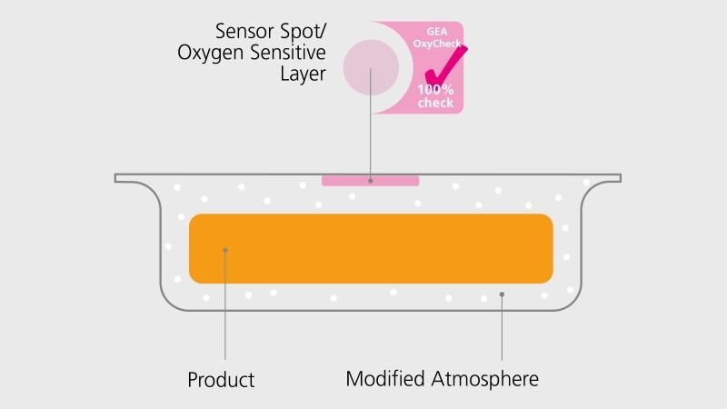 GEA_OxyCheck_Packaging.jpg