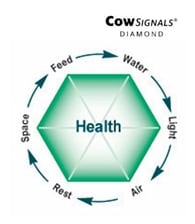 cowsignals2.jpg