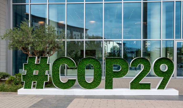 COP29 told global climate funds failing grassroots farmers