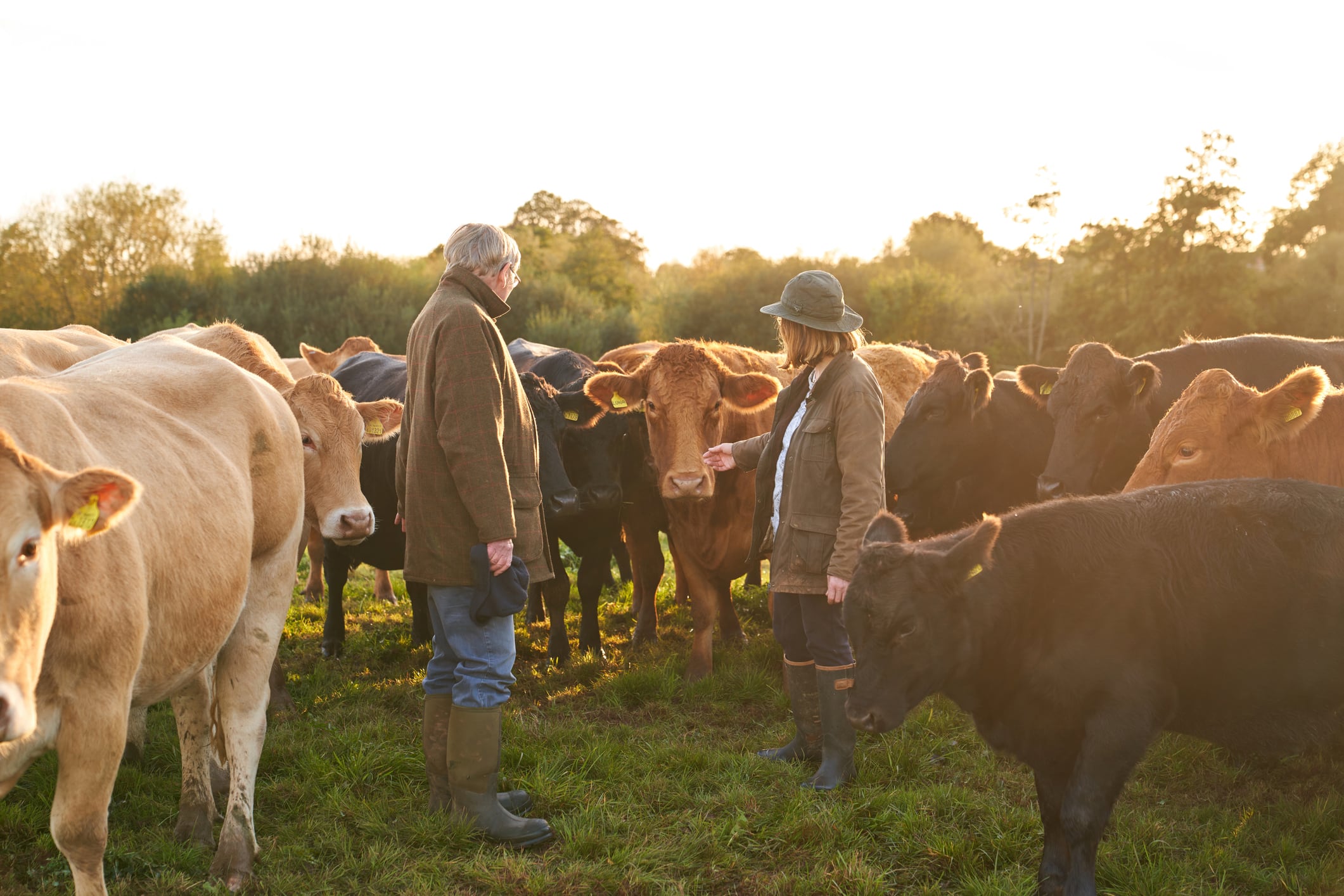 Welsh dairy farmers are under increasing margin pressure.