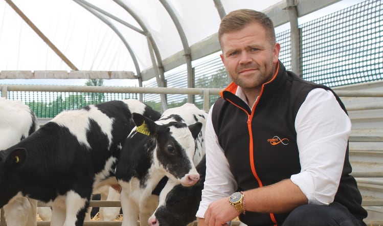 Beef genetics driving efficiency and consistency in beef supply chains