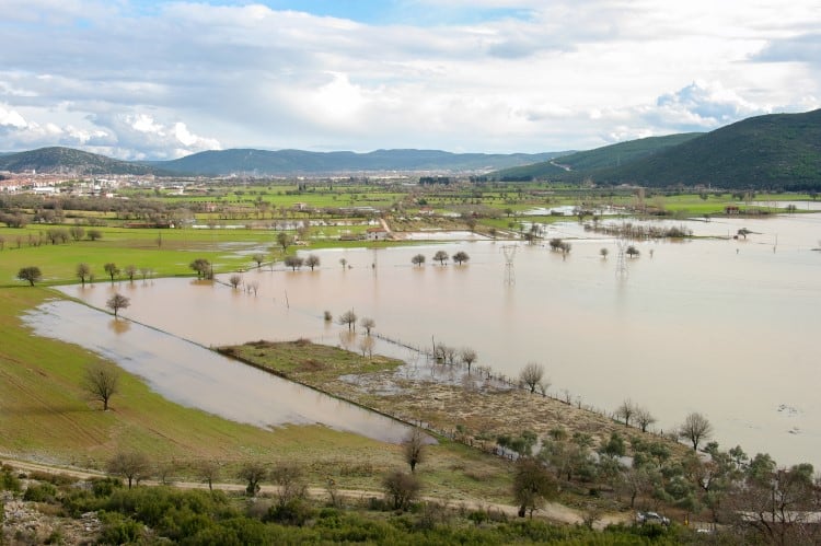 Vital-that-farms-prepare-for-climate-change-impacts-Kite-Consulting.jpg