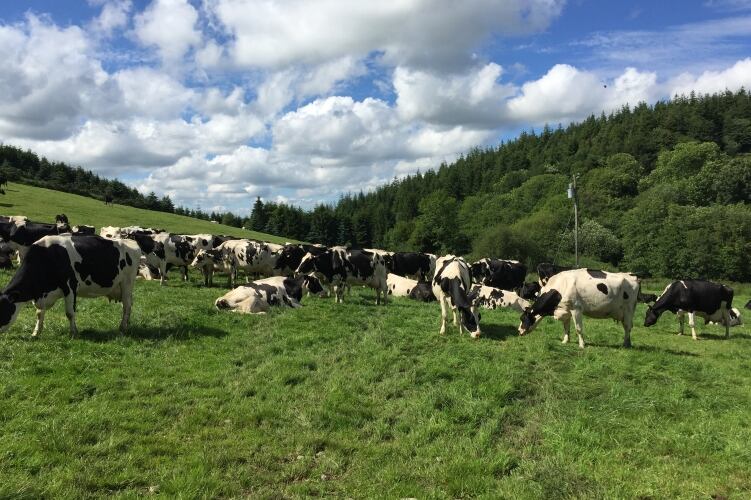 EMB says study shows farmers earning low or no income