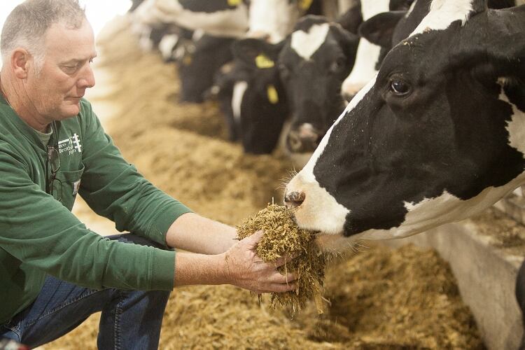 US dairy introduces Net Zero Initiative