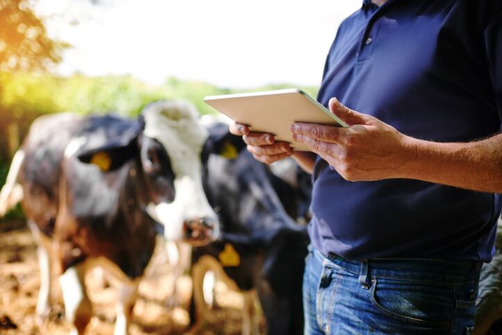 Dairy food safety workshops set 2019 schedule