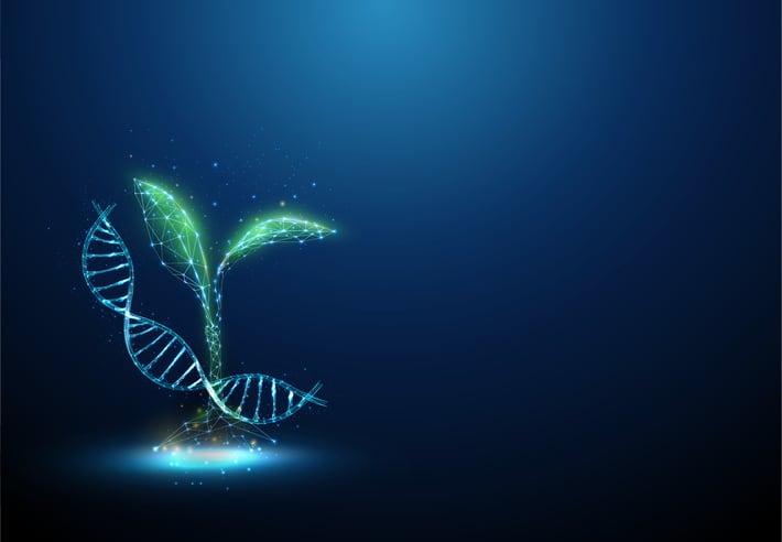 UK team bags £2.2m to advance gene-edited crop research