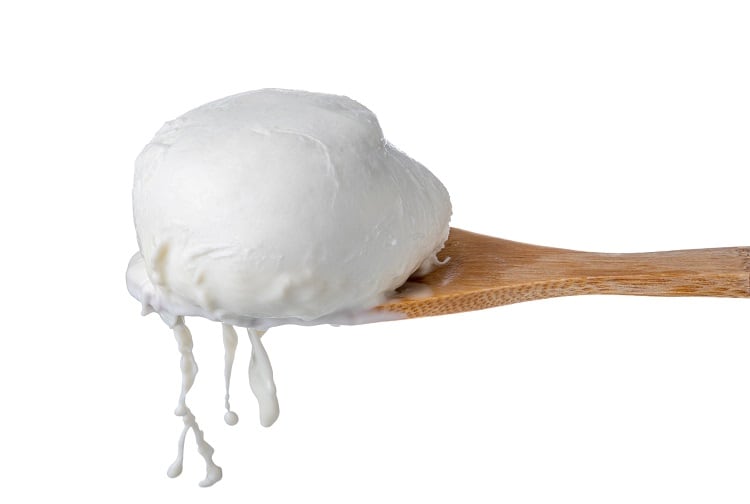 ‘Will there still be dairy cows by 2050? We don’t think so’: Real Deal Milk taps microbes to make vegan cheese in Barcelona