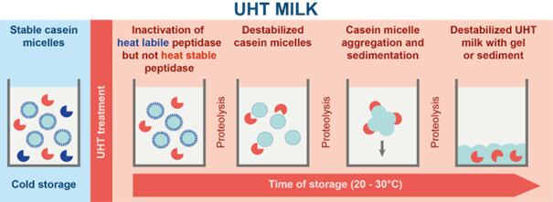 uht-milk.png