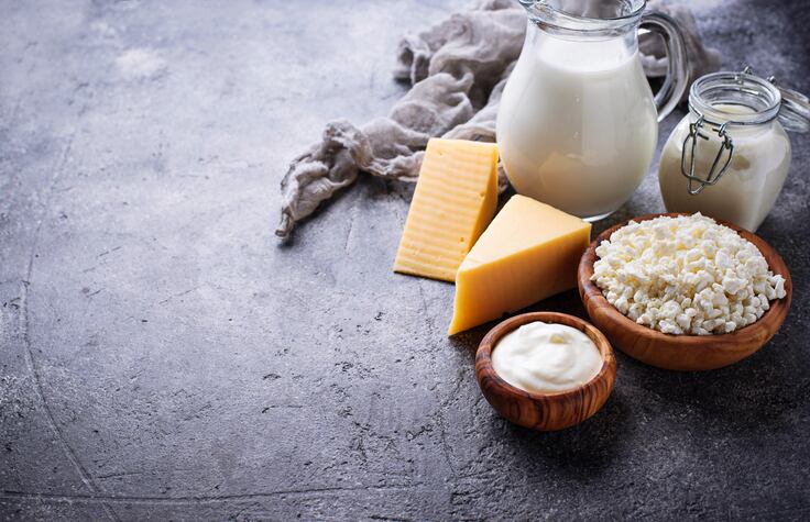 Austrian start-up plans dairy disruption via precision fermentation-derived cheeses