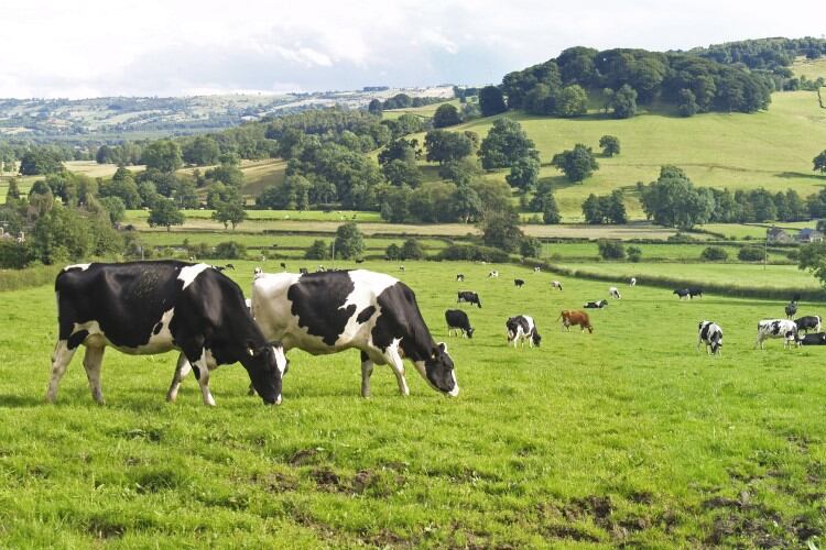 Defra-pauses-SFI-applications-to-roll-out-bigger-and-more-flexible-offer.jpg