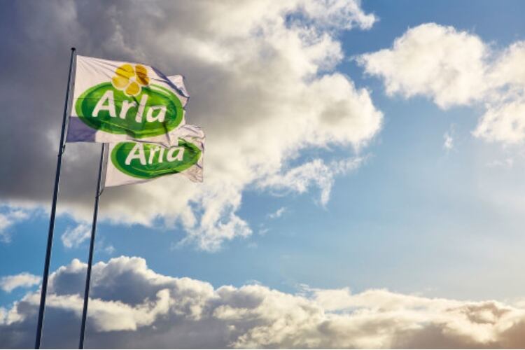 Arla Foods warns of no-deal Brexit issues