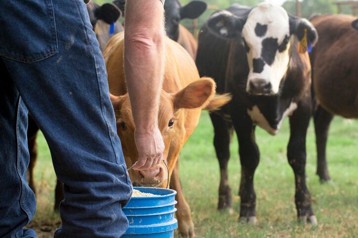 Wisconsin dairy supports 157K jobs and has a $45.6bn impact