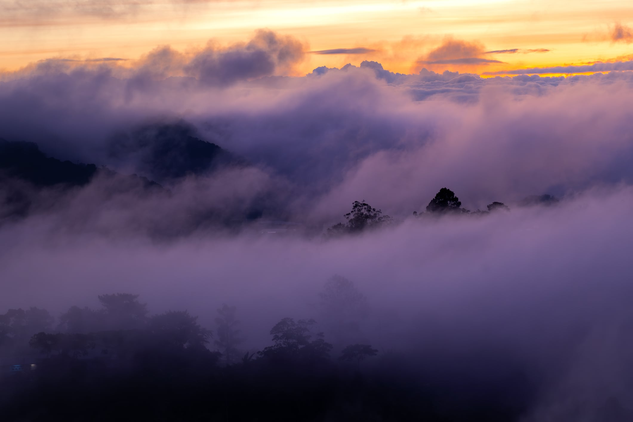 EUDR: Is cloud cover a problem for compliance?