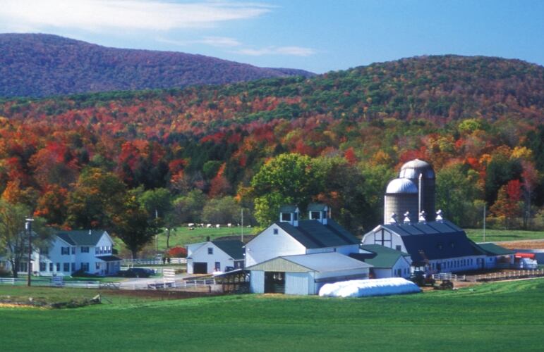 New York dairy competition launched for start-ups and emerging businesses