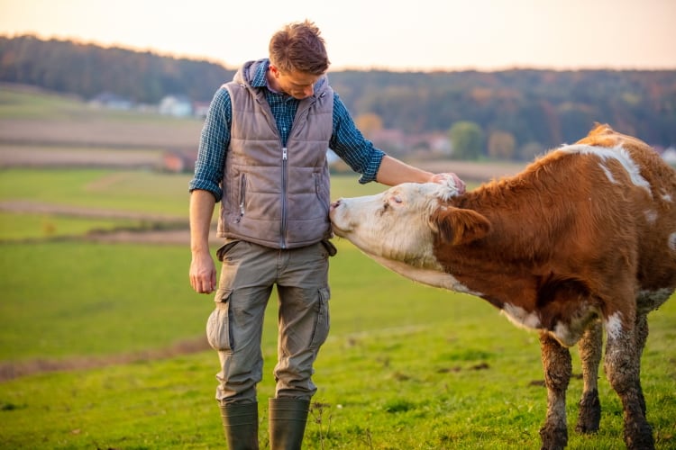 AHDB predicts slight increase in UK milk production