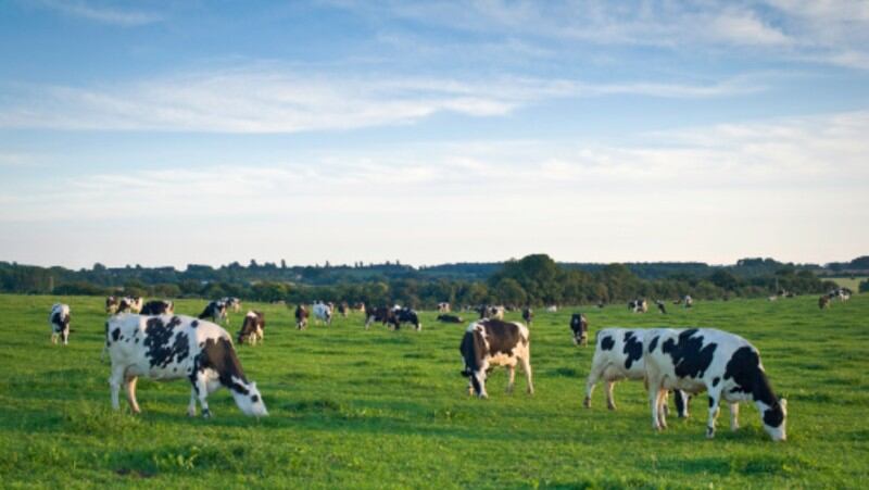 Onus-on-dairy-companies-to-improve-sustainability-in-processing-and-product-development-Yili.jpg