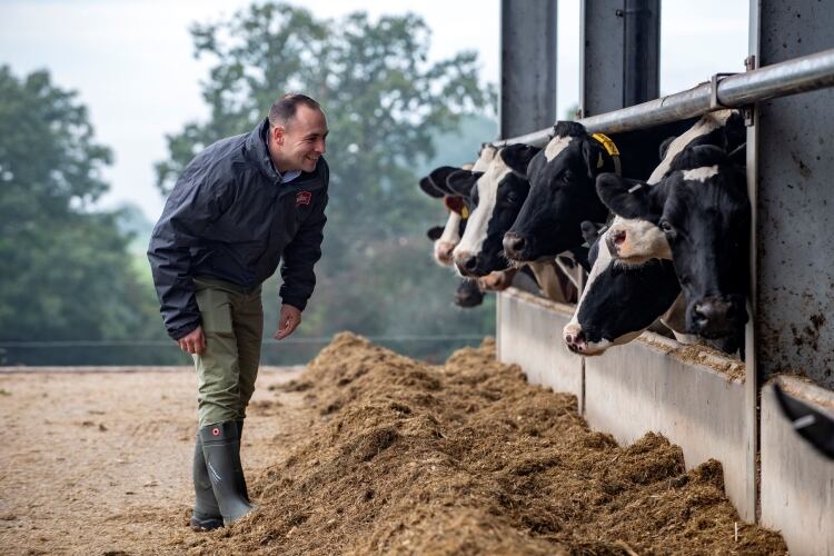 Müller and Lidl GB relaunch fixed price option for supplying dairy farmers