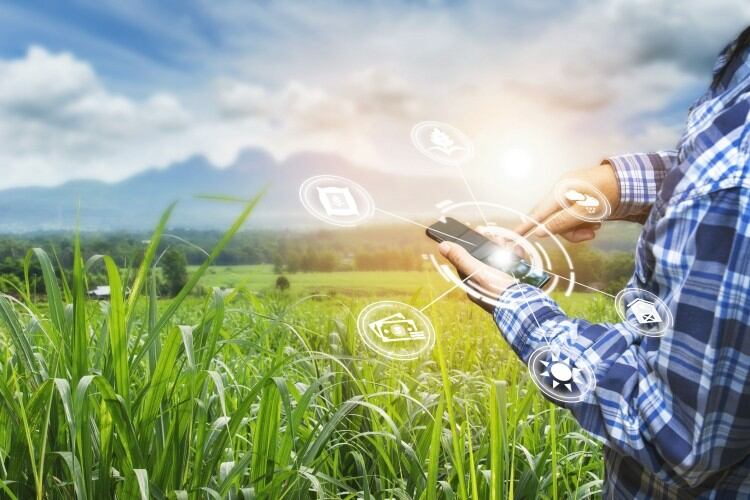 Cyber attacks: Why ag tech innovation could be an 'easy' target for hackers to threaten food supplies 