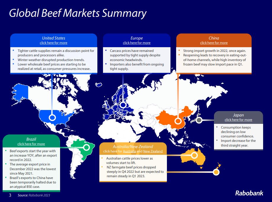 global-beef-market-summary.png