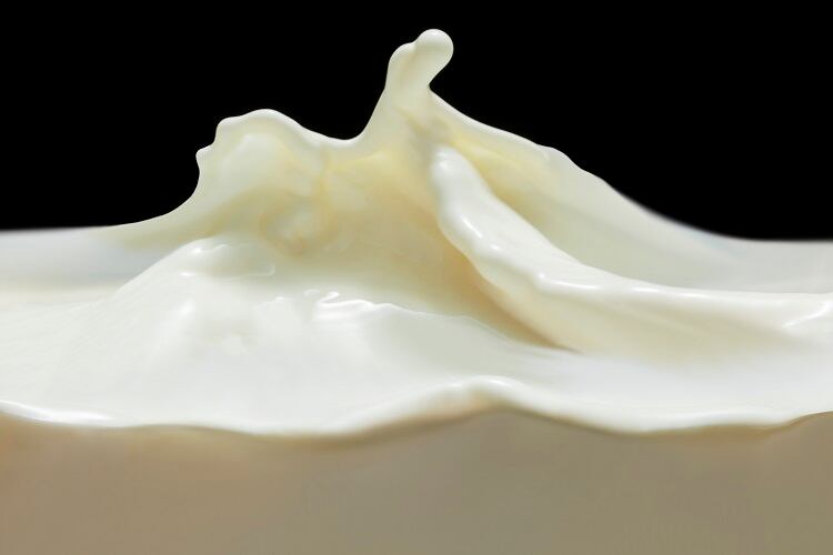 dairy-Yuji-Sakai.jpg