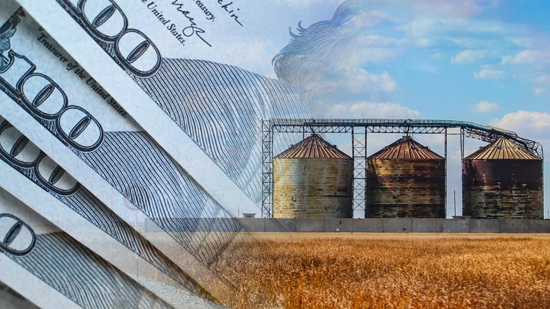 Grain silos against a background of dollars.