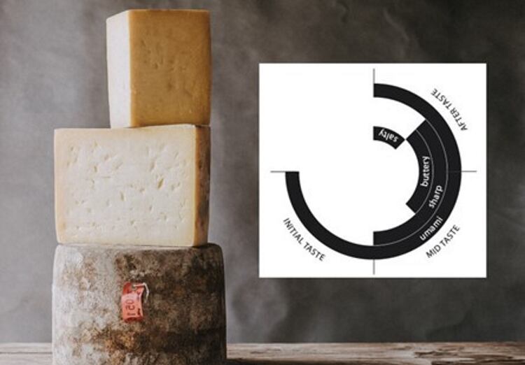 Quicke’s unveils Flavour Mapping Project for tasting cheese