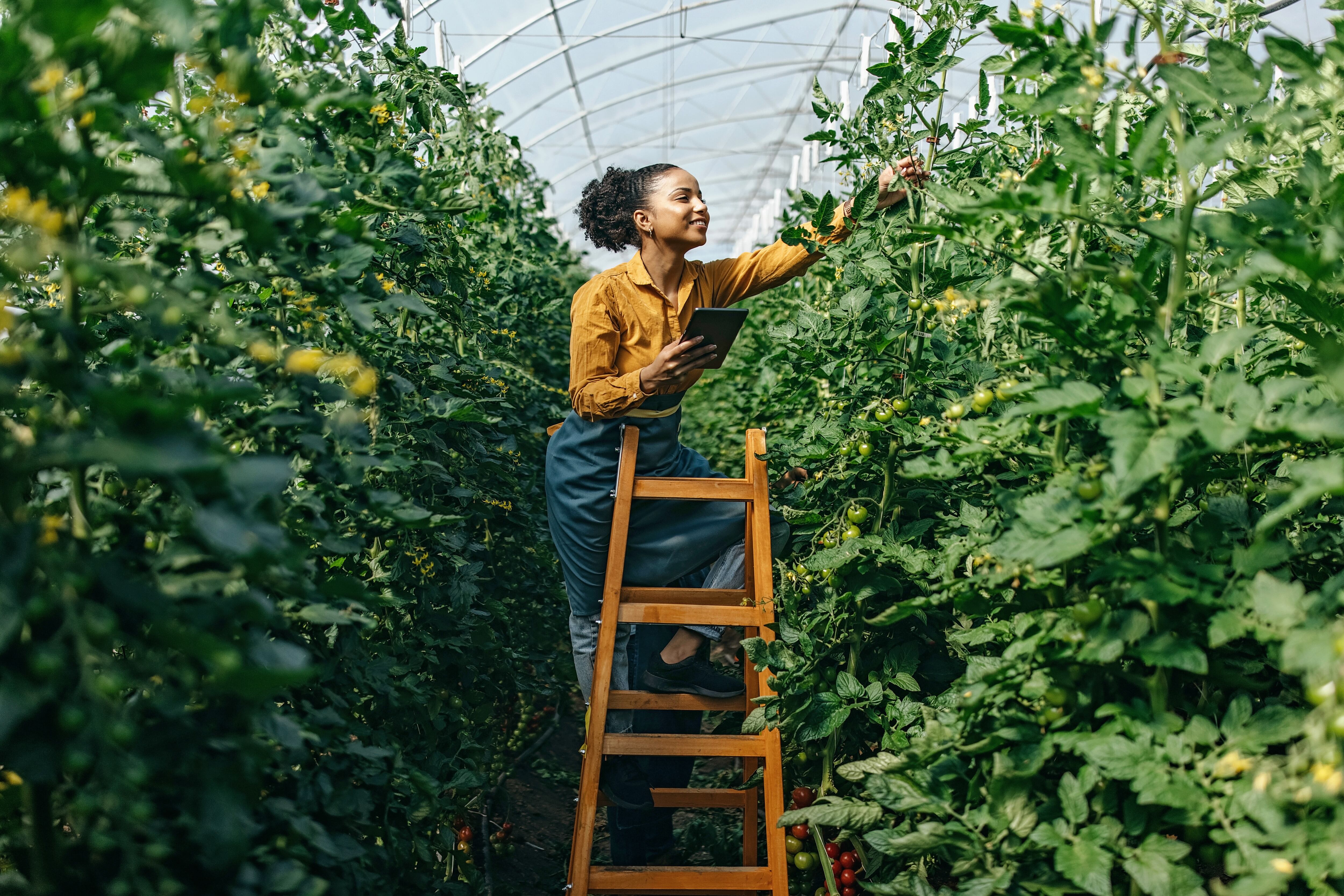 Unveiling 2025’s top food tech innovations