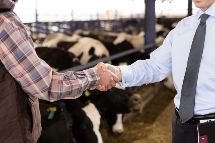 British-dairy-farmers-welcome-news-of-fair-and-transparent-contract-regulations.jpg