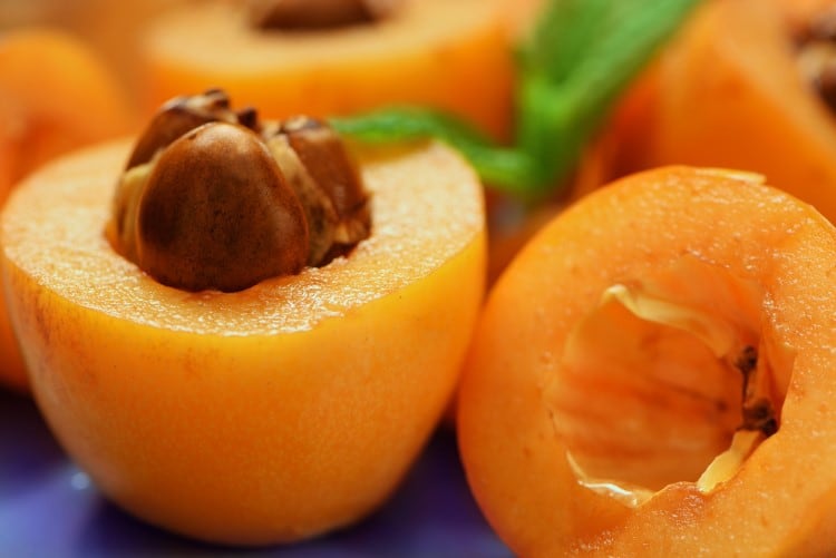 Could loquat fruit be the next big trend in yogurt?