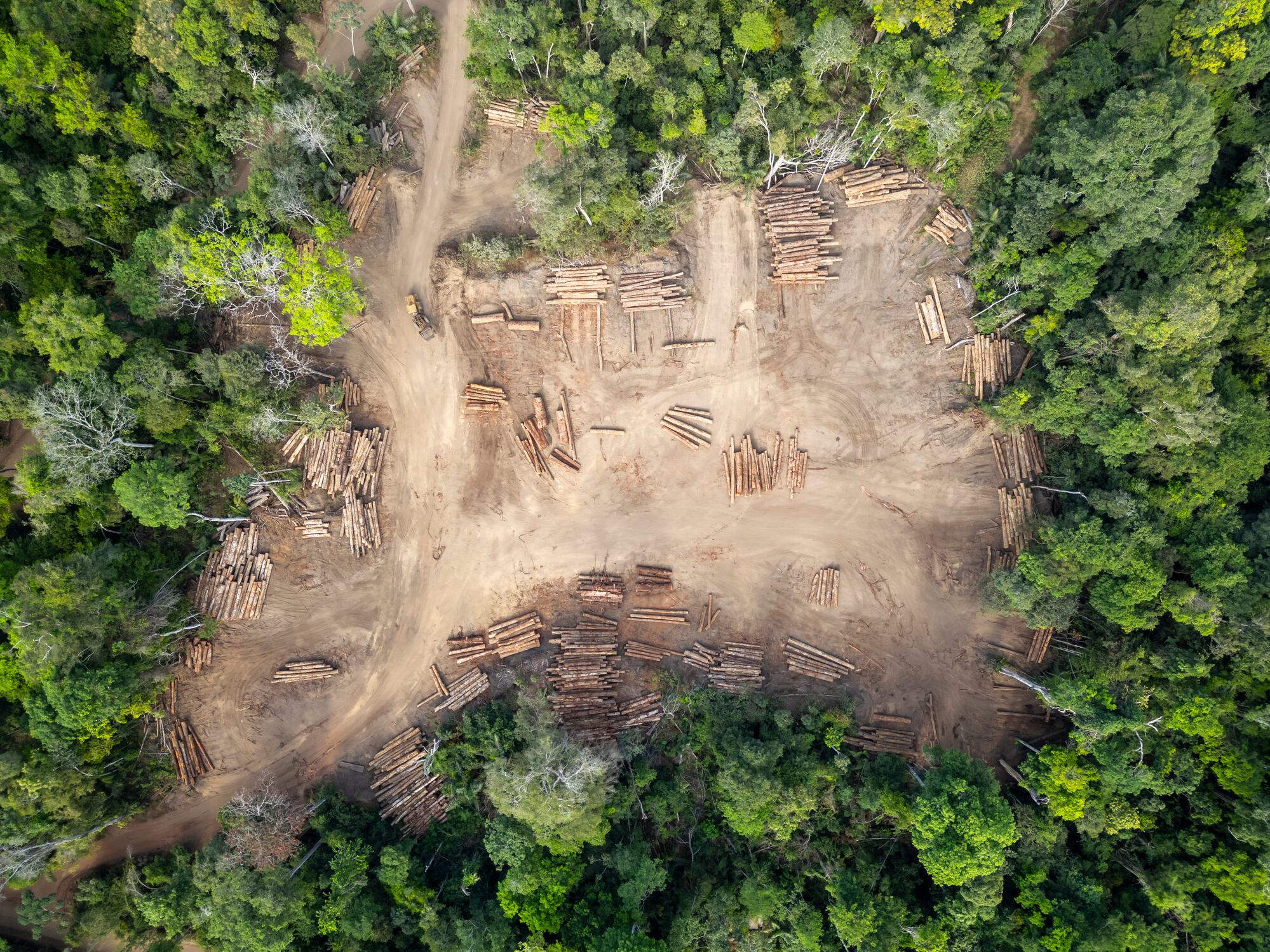 Deforestation