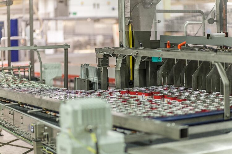 Hochwald 2019 statements show investment in facilities