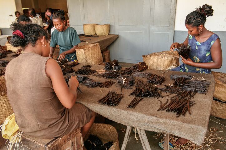 Malagasy-workers-manufacturing-vanilla-near-Sambava-Madagascar-on-January-12-2017-copyright-pierivb.jpg