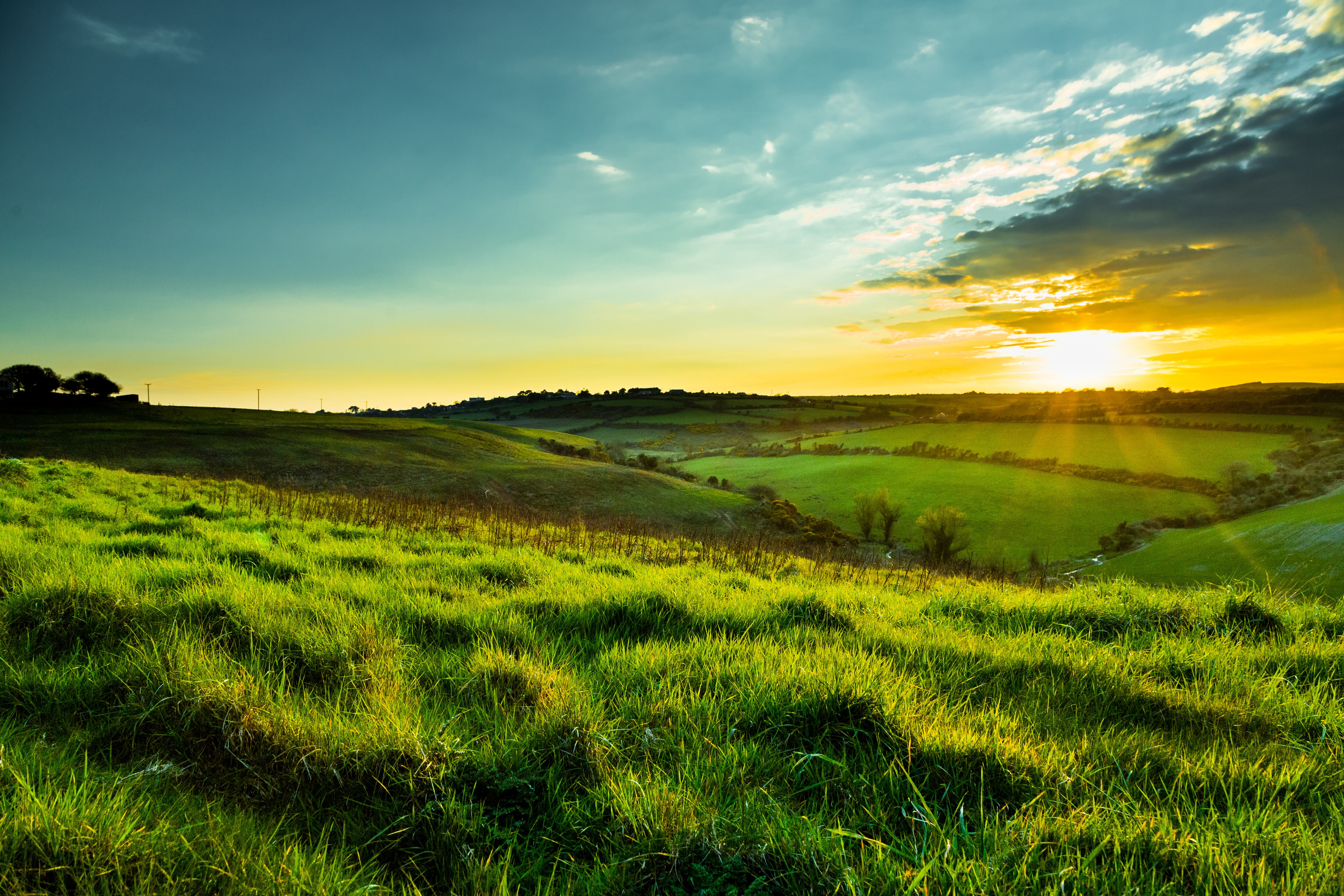 Ireland eyes SEA as major market for grass-fed dairy, protein exports