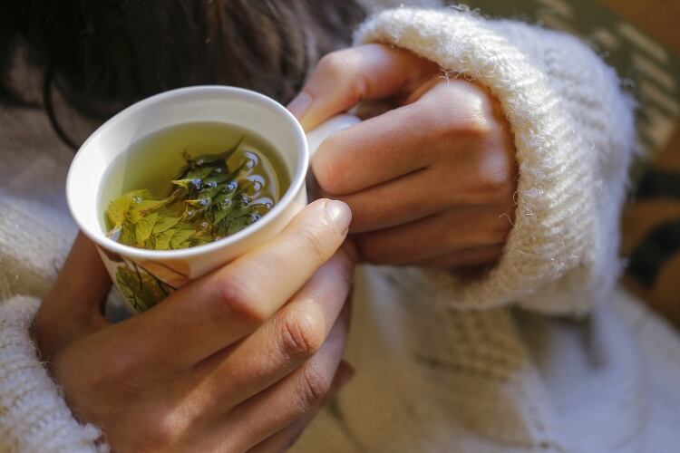 New botanical complex for cold and flu support can be used with dairy products