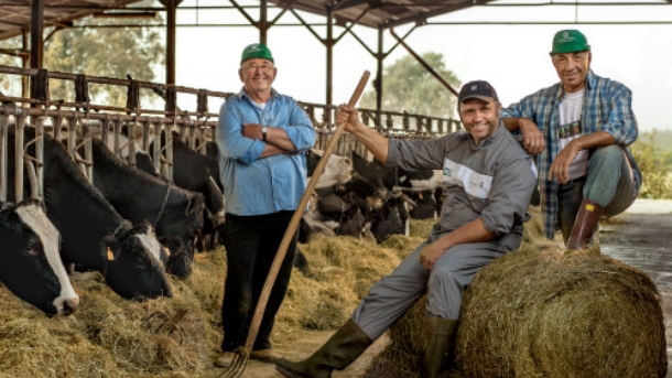 Fattorie Osella sets Italian dairy cows animal welfare standard