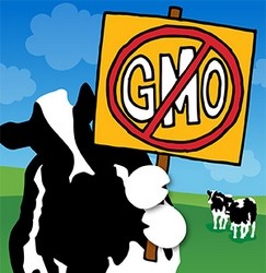 ben-and-Jerry-vs-GMOs