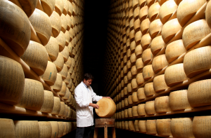 Parmigiano Reggiano Cheese Consortium 2