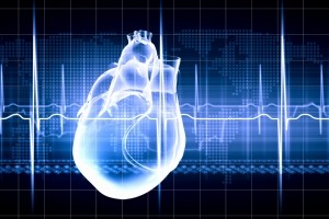 heart cardiovascular iStock.com Сергей Хакимуллин
