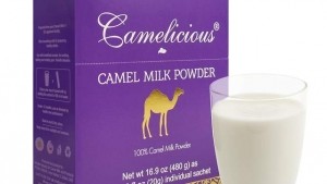 camel-milk-box-and-milk