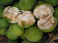 monk-fruit