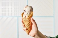 plant_based_dairy_ice_cream