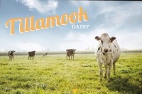 Tillamook Dairy