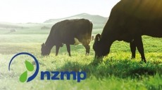 Leverage NZMP’s New Zealand grass-fed dairy advantage