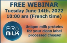 Unique milk proteins for your clean label processed cheese!