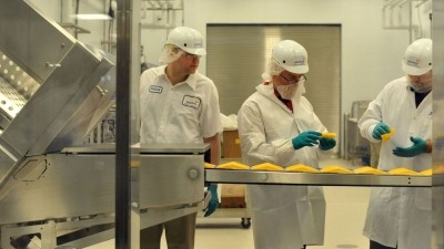 Glanbia Foods spent $15m to construct its Cheese Innovation Center in Idaho last year.