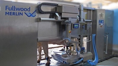 A static Fullwood Merlin machine milks a cow 
