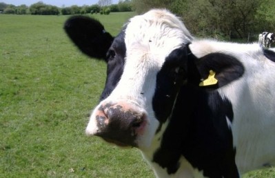 The Dairy Pride Act, says supporters, simply requires the FDA to enforce standards of identity already enshrined in law