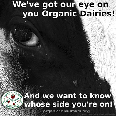 OCA urges organic dairy industry to sever ties with IDFA