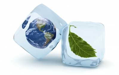 Vericool produces sustainable packaging to protect perishable goods. Picture: Vericool.